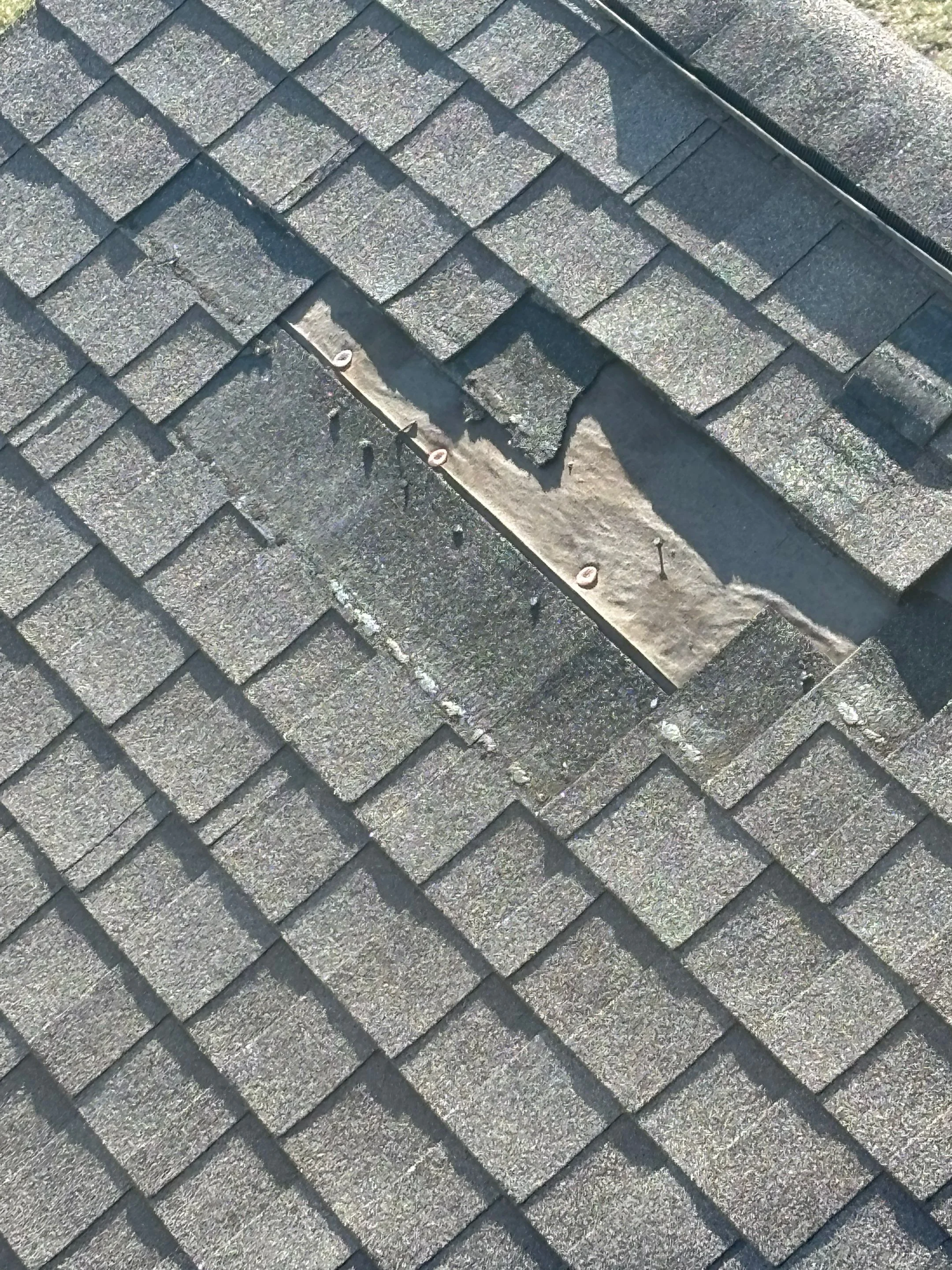 Comparing Metal and Shingle Roofs in Woodcreek Reserve